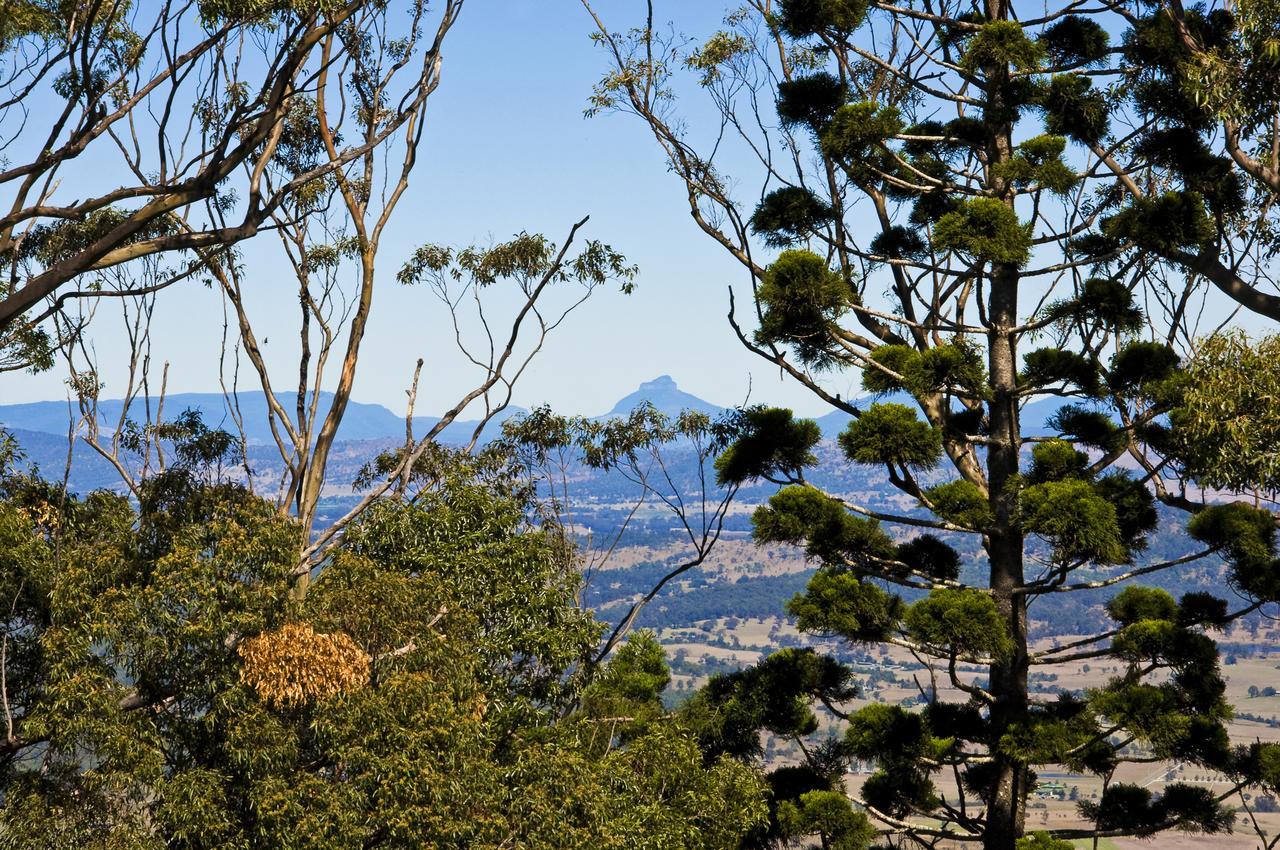 Possum Lodge At Cloudhill Estate Mount Tamborine Bagian luar foto